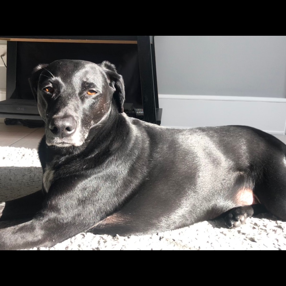 Meet your Posher, Miranda